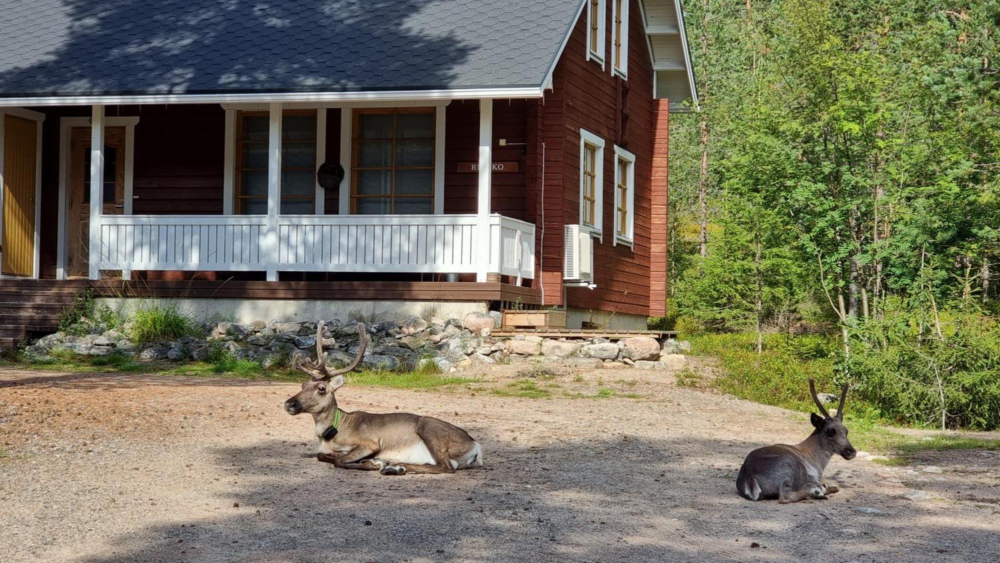 Riekko Chalet Rovaniemi Dış mekan fotoğraf