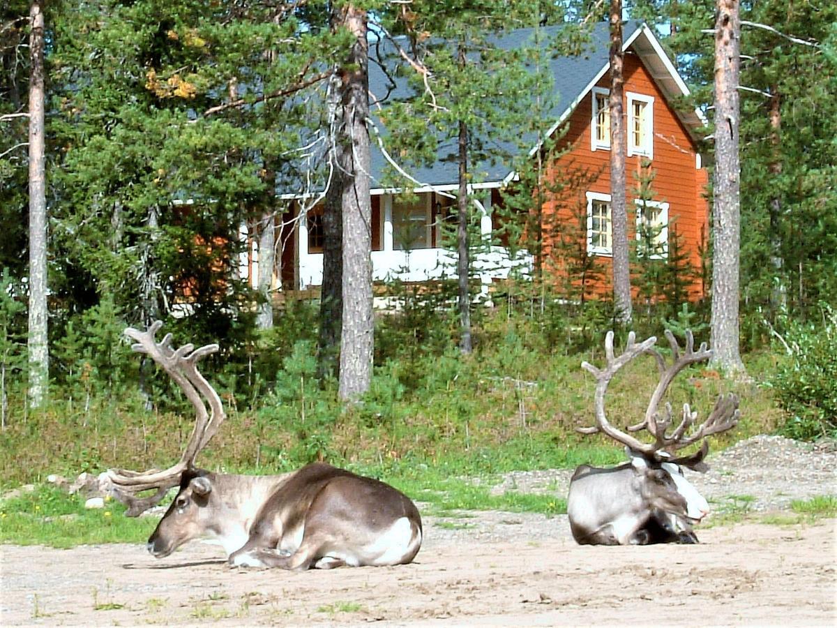 Riekko Chalet Rovaniemi Dış mekan fotoğraf
